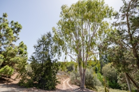Herdade dos Sarilhos (a riverside ranch) - Nature Bliss